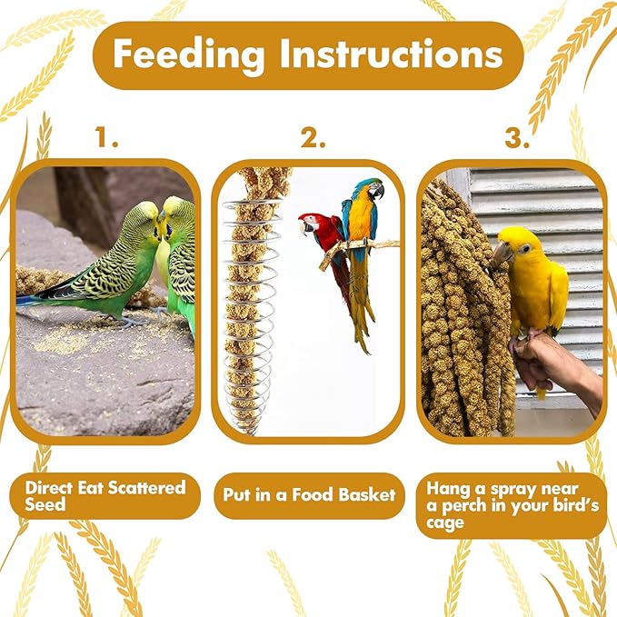 Jmxu's Spray Millet Treat for Birds Parakeets, Natural Sun-Dried Birds Millet for Cockatiel, Budgie, Finches, Parrots, Hamster