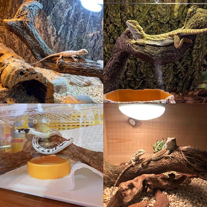 Reptile Decor Natural Forest Branch Terrarium Habitat Decoration Lizard Climbing Tree Branch for Bearded Dragon Gecko Snake Frog Chameleon Spider 3PCS