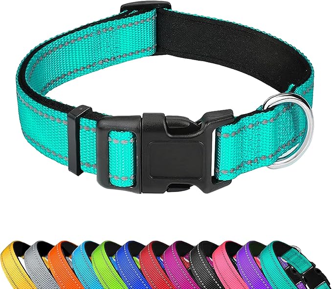 Reflective Dog Collar, Adjustable Soft Neoprene Padded Nylon Pet Collars with Buckle for Puppy and Small Dogs, Cats, Teal,XS
