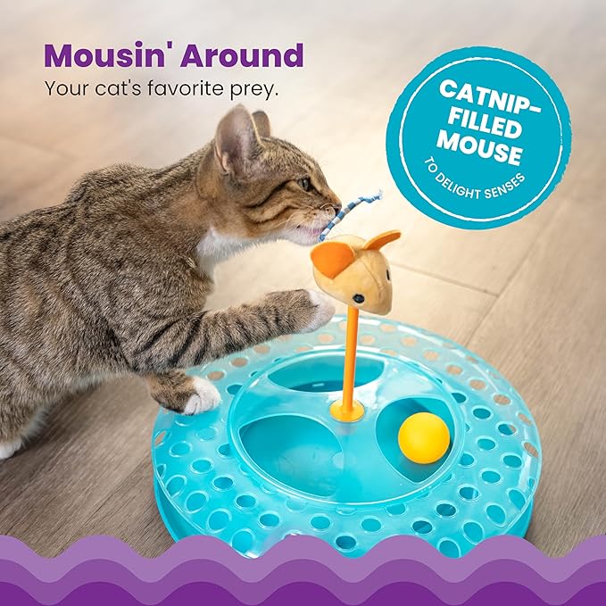 Catstages Cheese Chase Interactive Cat Track Toy with Balls and Catnip Toy, Multicolored
