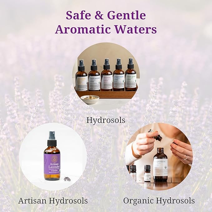 Aromatics International Rose Geranium Hydrosol 100ml | Floral Aromatic Spray for Home Use