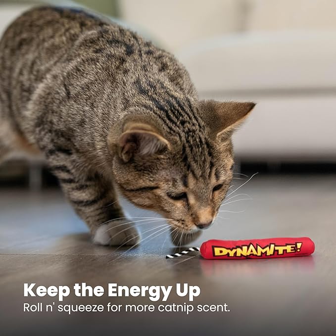 Catstages Green Magic Dynamite Stick Catnip Cat Toy, Red