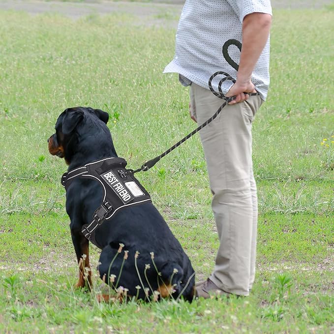 Heavy Duty Tactical Dog Harness for Large Dogs, No Pull Adjustable Pet Harness Reflective Service Training Easy Control Pet Vest Military K9 Working Dog Harnesses- Large, Black