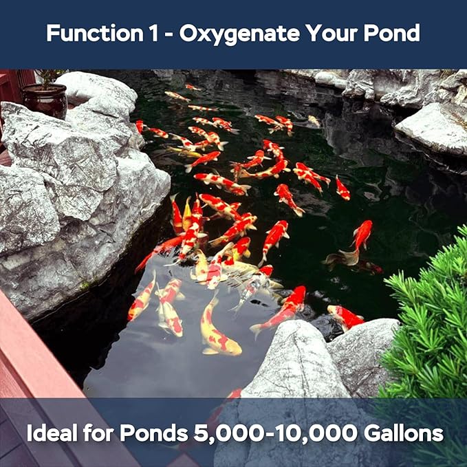 AquaMiracle All-in-1 Koi Pond Aeration Kit Pond Air Pump with Self-Sinking Airline Rubber Air Diffuser, Air Flow Control Pond Aerator for Outdoor Pond 5,000-10,000 Gallons