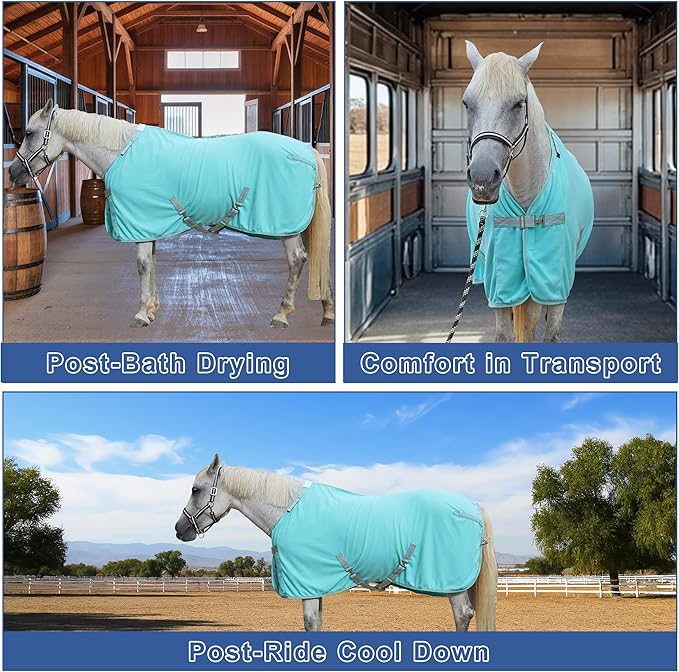 Horse Fleece Cooler, Blanket Liner - 300g Anti-Pilling Fleece, Moisture-Wicking, Cooling & Drying for Post-Workout, Bath & Travel, Prevent Overheating & Chilling Mintgreen 72