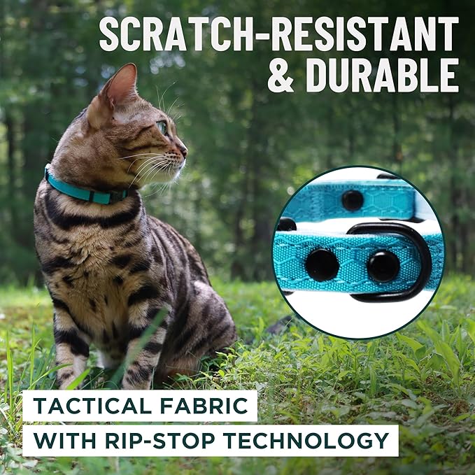 OutdoorBengal Blue Breakaway Kitten Collar - Ultra Safe Quick Release Cat Collar for Small Kittens Under 6 Months – Soft-Padded, Lightweight, Adjustable, Thin and Comfortable, No Bell (Blue, Kitten)