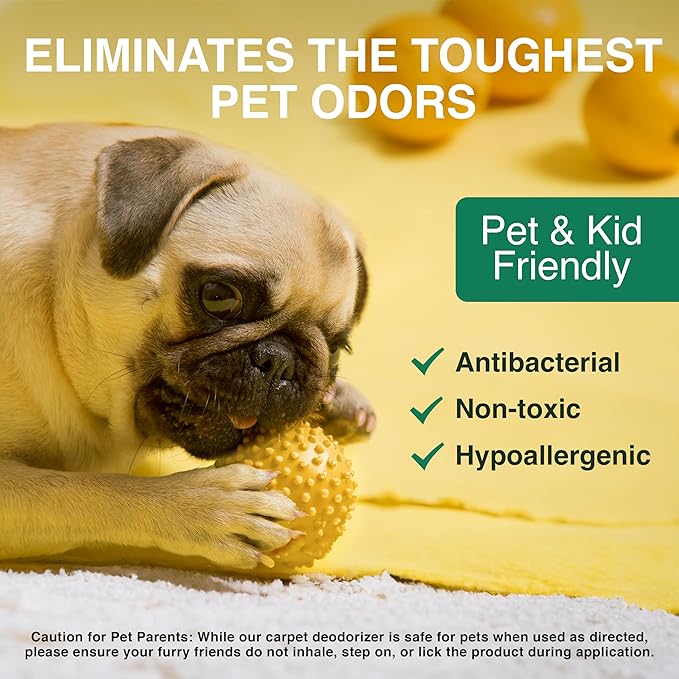 Good Natured Brand | Laundry Bundle | Carpet Freshener Lemon & Eucalyptus 31oz | Pet-Friendly Carpet Deodorizer | Laundry Powder Peppermint 47oz | Hypoallergenic Laundry Powder 94 Loads