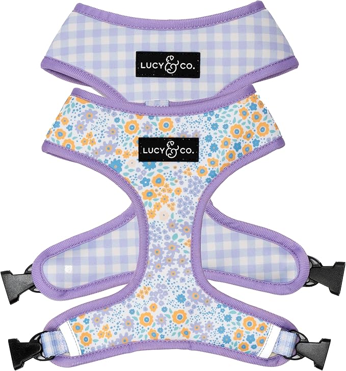 Lucy & Co. Cute Reversible Dog Harness Walking Halter - Best Designer Pet Harnesses for XS - XL Dogs - Padded Adjustable Vest for Easy Walking (Medium, Among The Wildflowers - Purple Floral)