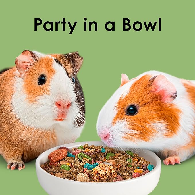 Kaytee Fiesta Guinea Pig Food, Nutritious and Fun Blend, Supports Dental Health and Digestion, 4.5 pounds
