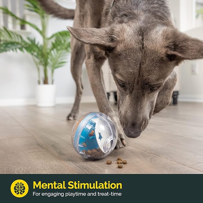 Pet Zone IQ Treat Ball Dog Treat Dispenser Toy Ball Interactive Toy - 4" Stimulation, Slow Feeder