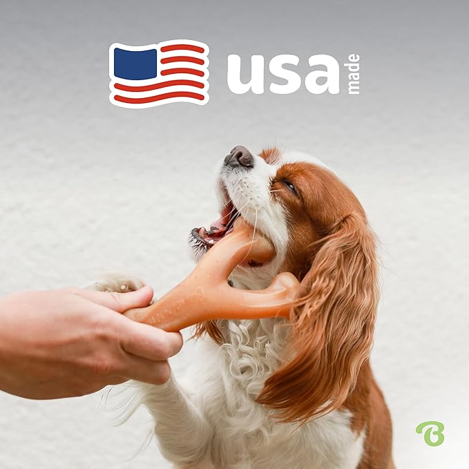Benebone Wishbone Durable Dog Chew Toy for Aggressive Chewers, Made in USA, Large, Real Bacon Flavor