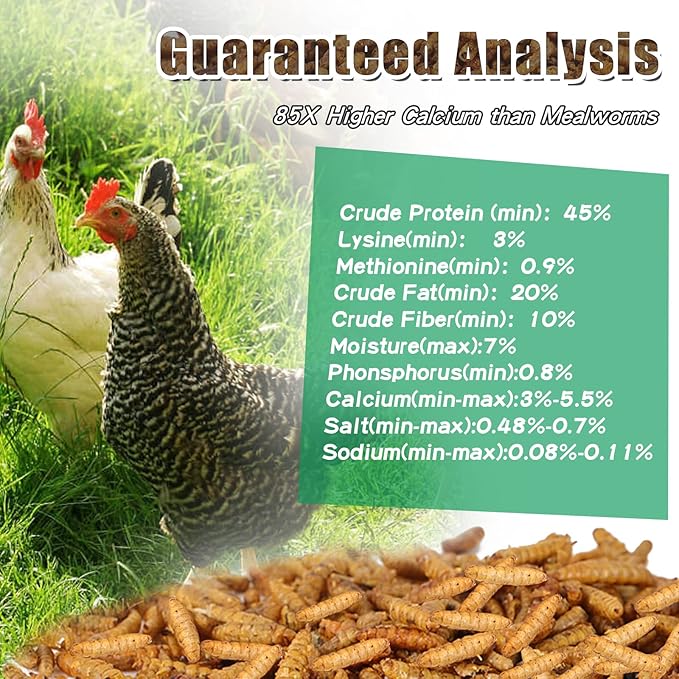 Dried Black Soldier Fly Larvae 22LBS, 85X More Calcium Than Mealworms High-Protein BSF Larvae Chicken Treats Non-GMO BSFL for Chickens, Hens, Ducks, Wild Birds