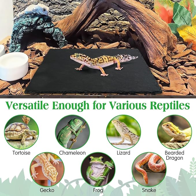 Tfwadmx 2Pcs Reptile Basking Platform Large Tortoise Feeding Bathing Area Turtle Original Rock Plate Grinding Nails Resting Terrace Habitat Decor for Amphibian Reptile Bearded Dragon Chameleon Snake