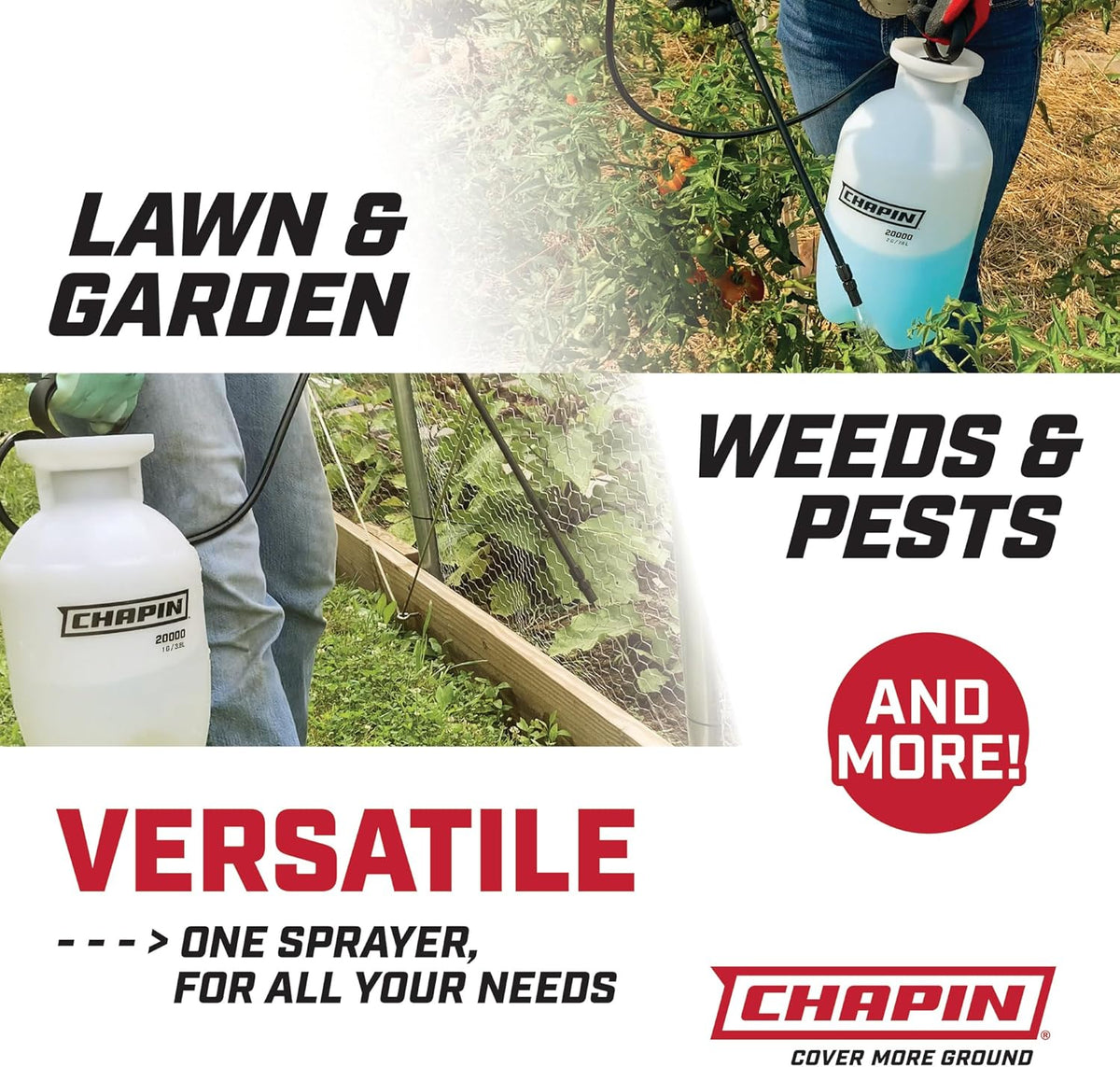 Chapin USA 20004 Pump Sprayer, 1 Gallon, Lawn and Garden, Hand Pressurized, Anti-Clog Filter, Adjustable Spray Nozzle, Spraying Plants, Watering, Weeds, Fertilizer and Pests, Translucent