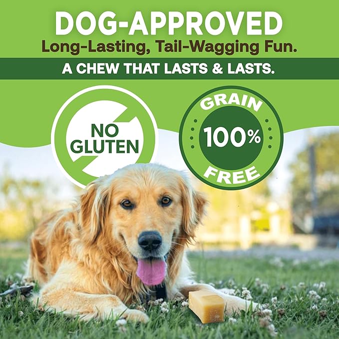 EcoKind Premium Gold Monster Yak Cheese Himalayan Dog Chew, Dog Treats Large Breed, All Natural, High Protein, for Aggressive Chewers, XL - 1 Chew