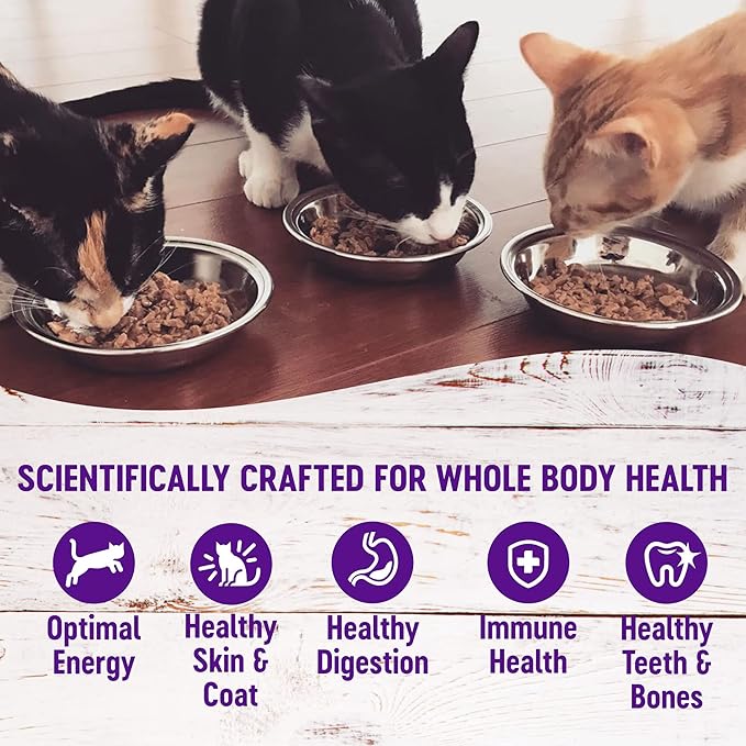 Wellness Healthy Indulgence Gravy Adult Wet Cat Food, Natural, Protein-Rich, Grain Free, 3 Ounce Pouch, 8 Pack, (Gravy Variety Pack)