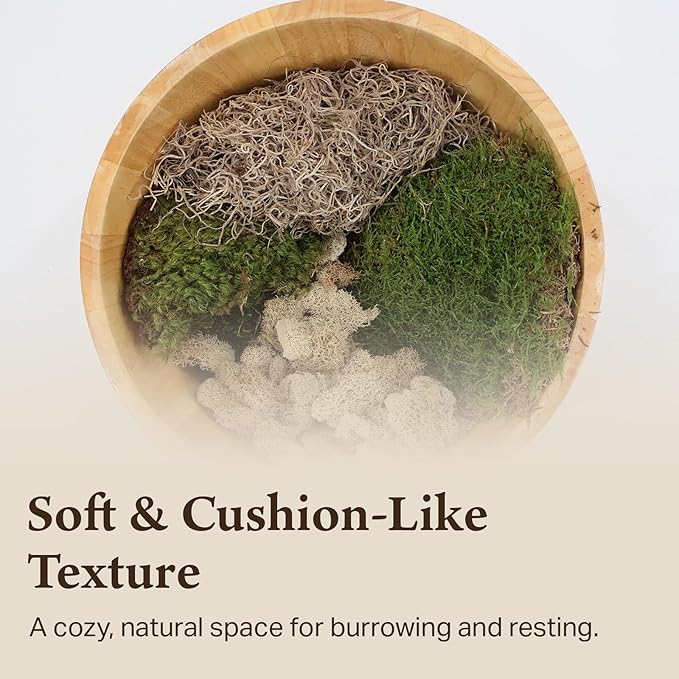 The Habitat Life - Natural Variety Pack - Mix of Reindeer, Mood, Sheet & Spanish Moss - for All Terrariums - Humidity Control - Breathable Bedding - Dye-Free & Safe - Small - 2 Pack