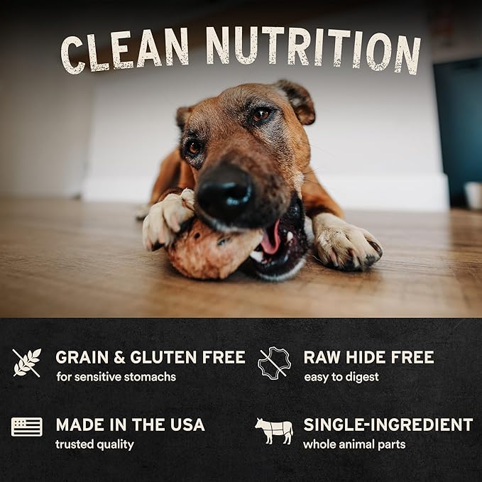 Vital Essentials Freeze-Dried Raw Turkey Neck Dog Treat & Natural Chew, 1-Pack | Single Ingredient Dog Treat for Medium Chewers | Made in USA