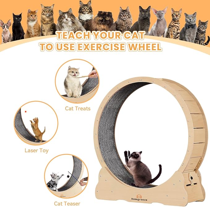 Homegroove Cat Exercise Wheel for Indoor Cats, 46" Large XL Cat Running Treadmill Wheel with Carpeted Runway for Kitty’s Longer Life, Natural Wood Color(XL)