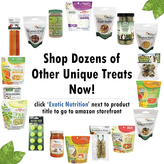 Gummivore-Fare Combo (Original + Fruit) - Healthy All Natural Native Food Treat Sugar Gliders, Marmosets, Tamarins, and other Gum-Feeding Mammals - 8 oz. Jar - Acacia Gum-Based Supplement