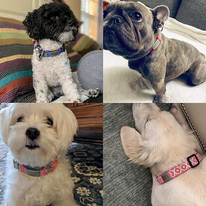 Personalized Dog & Cat ID - Engraved Dog Name Tag - Silent, No Noise - Slide On Custom Collar Tags for Small, Medium & Large Pets