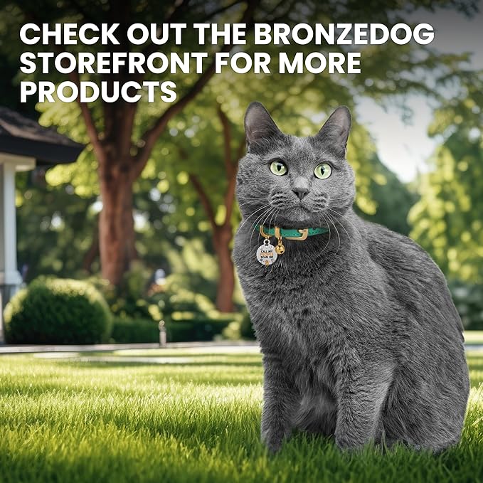 BRONZEDOG Leather Cat Collar with Removable Bells Non Breakaway Kitten QR Tag for Girl Boy (9" - 12" Cats/Mini Dogs, Black & Gold)