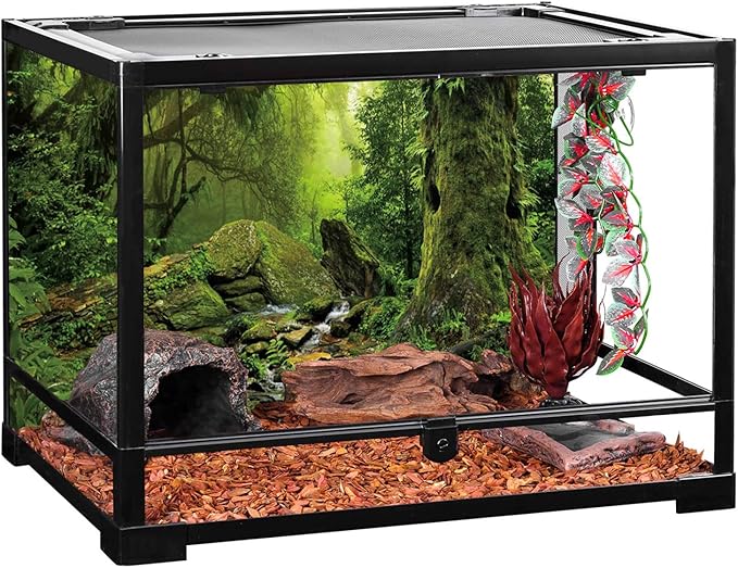 AWERT Tropical Forest Terrarium Background Stream Green Huge Tree Reptile Habitat Background Foggy Rainforest Aquarium Background 30x12 inches Durable Polyester Background