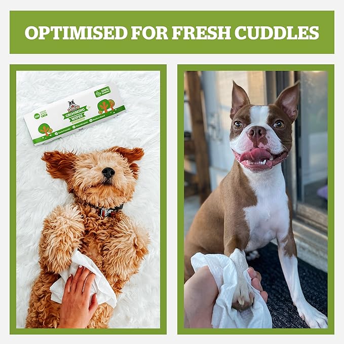 Pogi’s Dog Wipes Travel Packs – Hypoallergenic Pet Wipes for Paws, Body & Butt – Cleaning & Hydrating, Green Tea Scent, 240-Count