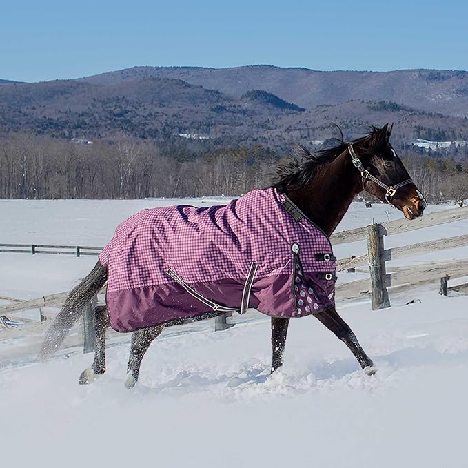 Equinavia Norse Lightweight 100g Fill Horse Rain Blanket | Waterproof Turnout Sheet - Black - 66 in - Plum Wine/Orchid Haze - 66 in