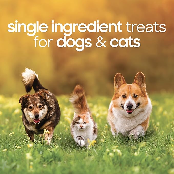 smallbatch Pets Premium Freeze-Dried Beef Heart Treats for Dogs and Cats, 3.5 oz, Made and Sourced in The USA, Single Ingredient, Humanely Raise Meat, No Preservatives or Anything Artificial Ever