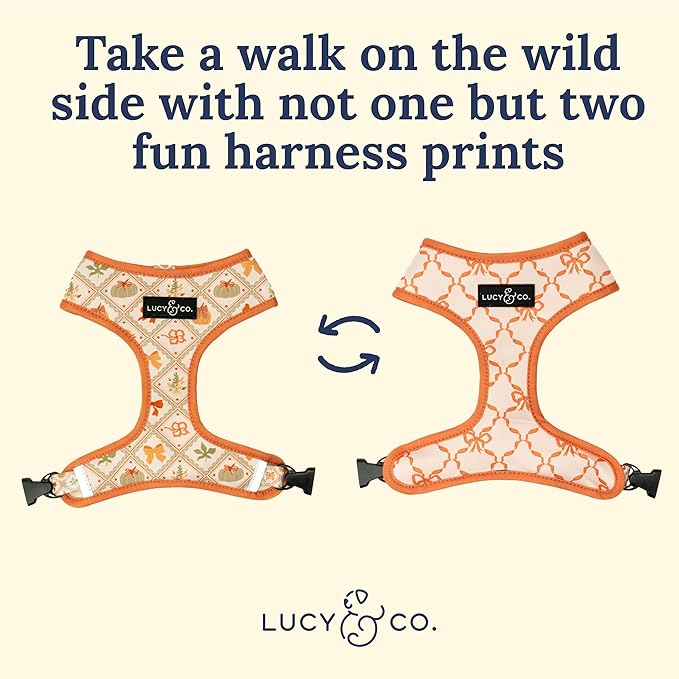 Lucy & Co. Cute Reversible Dog Harness Walking Halter - Best Designer Pet Harnesses for XS - XL Dogs - Padded Adjustable Vest for Easy Walking-XLarge-Orange Cream Pumpkin