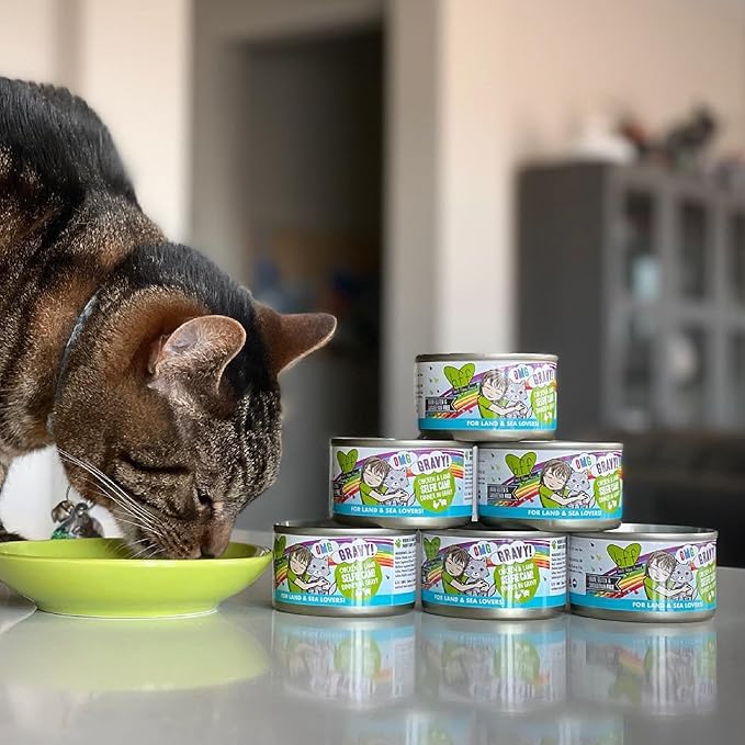 Weruva B.F.F. OMG - Best Feline Friend Oh My Gravy!, Chicken & Beef Be Happy with Chicken & Beef in Gravy, 2.8oz Can (Pack of 12)