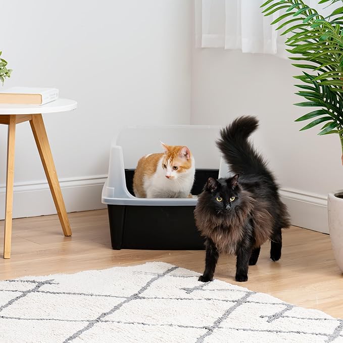 IRIS USA XX-Large Cat Litter Box, Open Top Extra Large Litter Box for Big Cats and Multi-Cat Households, High Sided Scatter Shield, Easy to Clean, 30" L x 20" W x 14" H, Black