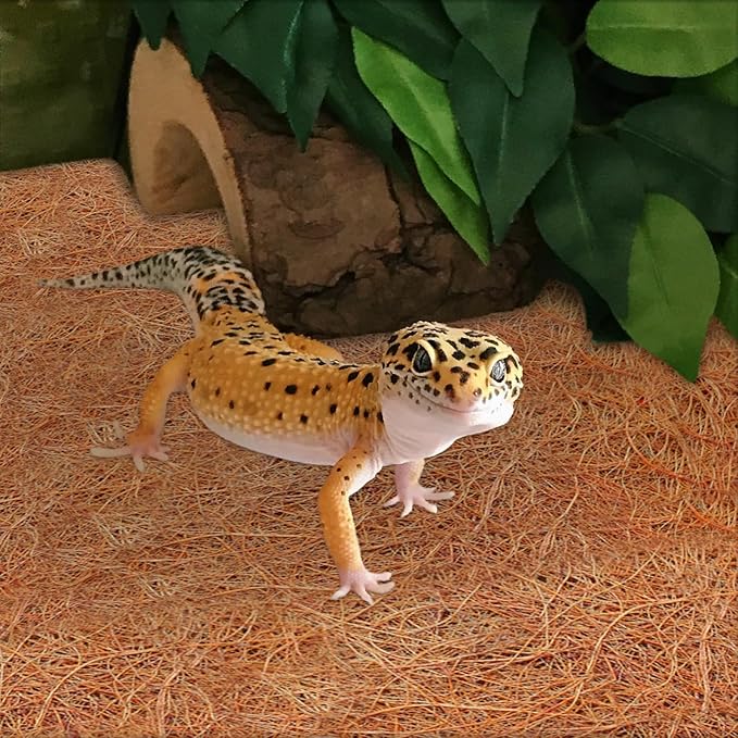 ZeeDix 3 Rolls Reptile Carpet, 18 x 24 inches Natural Coconut Fiber Liner Mat Flooring Accessories for Reptile Tank - Bearded Dragon Tortoise Lizard Turtle Snake Leopard Gecko Substrate Bedding