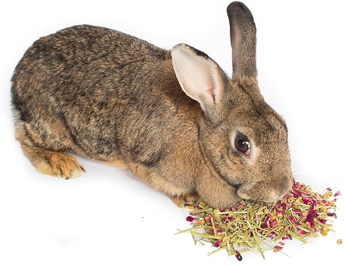 Herbal Calming Forage (2 Ounces): Premium Rabbit Food, Hay for Guinea Pigs Food, Chinchilla Food, Hamster Treat Made with Timothy Hay & Organic Herbs (2 Ounces)
