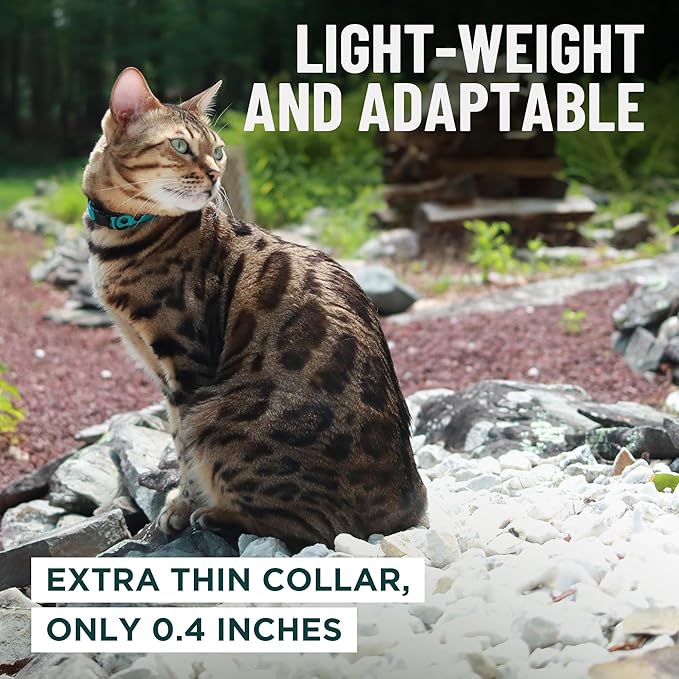 OutdoorBengal Durable Cat Collar Breakaway with Soft Padding Medium to Large Cats - Thin Heavy Duty Tactical Fabric, Comfortable, Quick Release Cat Collars, No Bell Collar (Black Reflective, Kitten)