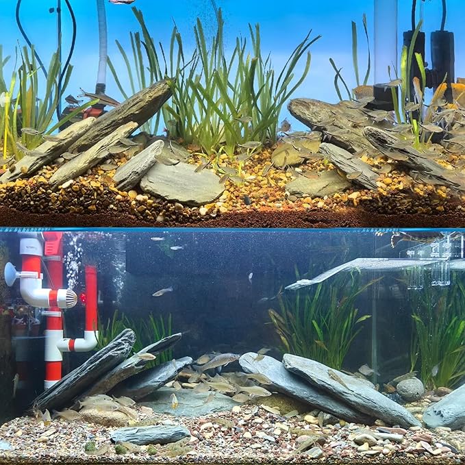 Aquarium Stone Stream Turtle Platform Natural Slate 3-11 inches Fish Rock for Aquarium Decoration Turtle Tanks and Amphibian & Reptile Terrariums-40lb