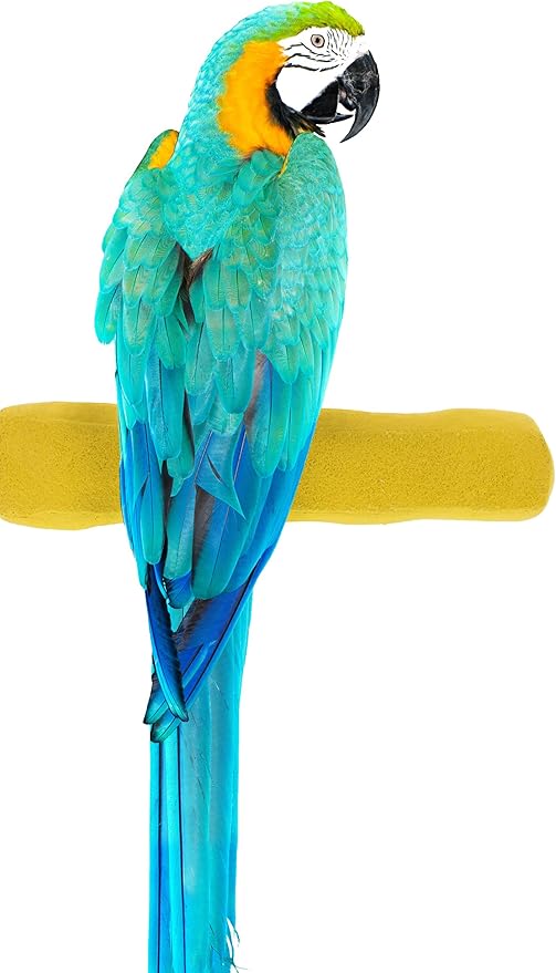 Sweet Feet and Beak Comfort Grip Safety Perch for Bird Cages - Patented Pumice Perch for Birds to Keep Nails and Beaks in Top Condition - Safe Easy to Install Bird Cage Accessories - XL 13.5"