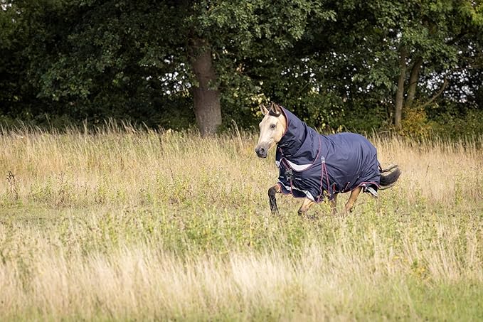 LeMieux Kudos 200g Turnout Blanket - 1680Denier Waterproof Outer - Detachable Neck Inlcluded - Navy - 78"
