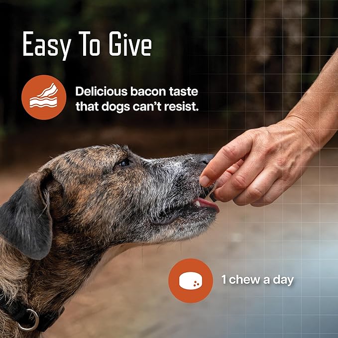 URSOLYX Soft Chews for Dogs | Muscle Health Support for Senior, Active or Recovering Dogs, Large | 120 Count 4-Month Supply