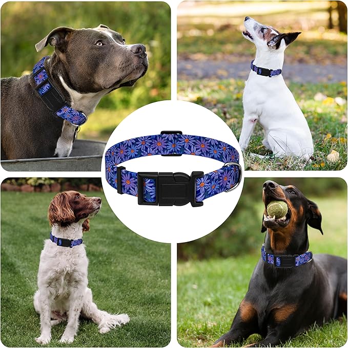 Dog Collar, Classical Indian Spirit Boys Girls Puppy Collar for Small Medium Large Dogs, Adjustable Soft Indian Pet Collar with Safety Buckle for Male Females(Purple,L)