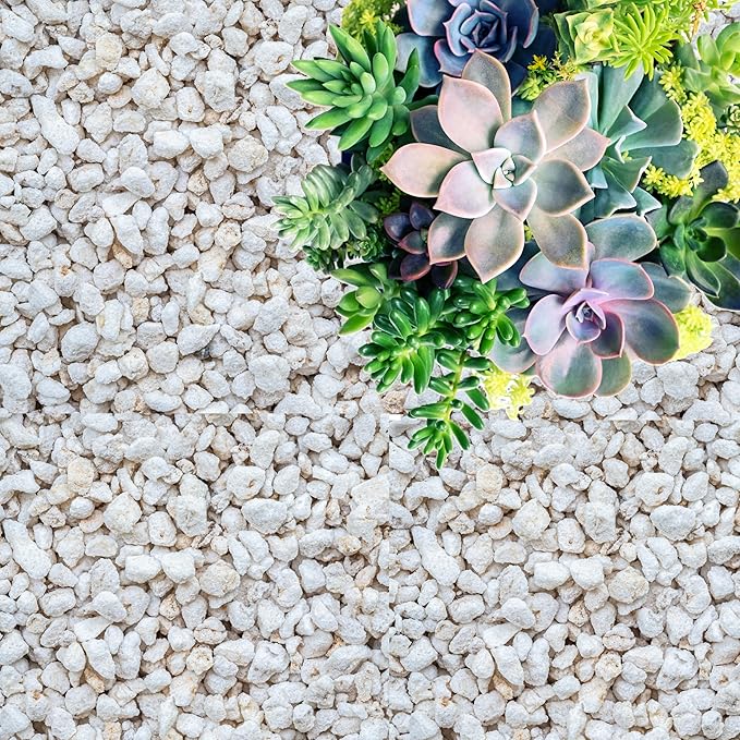 Perlite for Plants, Coarse and Chunky Horticultural Perlite, Organic Perlite for Gardening Indoor & Outdoor, Perlite Bulk Bag, Made in USA (15 quarts)
