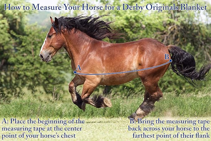 Derby Originals Nordic-Tough 1200D Heavyweight Mini Horse & Pony Turnout Blanket – Waterproof, Breathable, 300g Insulation, 210T Lining, Reflective, 2-Year Warranty (Turquoise, 38")