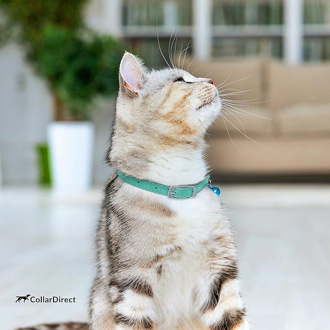 CollarDirect Leather Cat Collar, Cat Safety Collar with Elastic Strap, Kitten Collar with Bell Black Blue Red Orange Lime Green (8-11 Inch, Mint Green)
