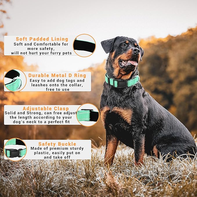 2 Pack Reflective Dog Collar with Safety Locking Buckle, Adjustable Soft Breathable Comfortable Nylon Pet Collar for Small, Medium and Large Dogs, Turquoise, L