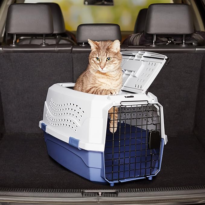 Amazon Basics 2-Door Top-Load Hard-Sided Dogs, Cats Pet Travel Carrier, Gray & Blue, 22.8"L x 15.0"W x 13.0"H