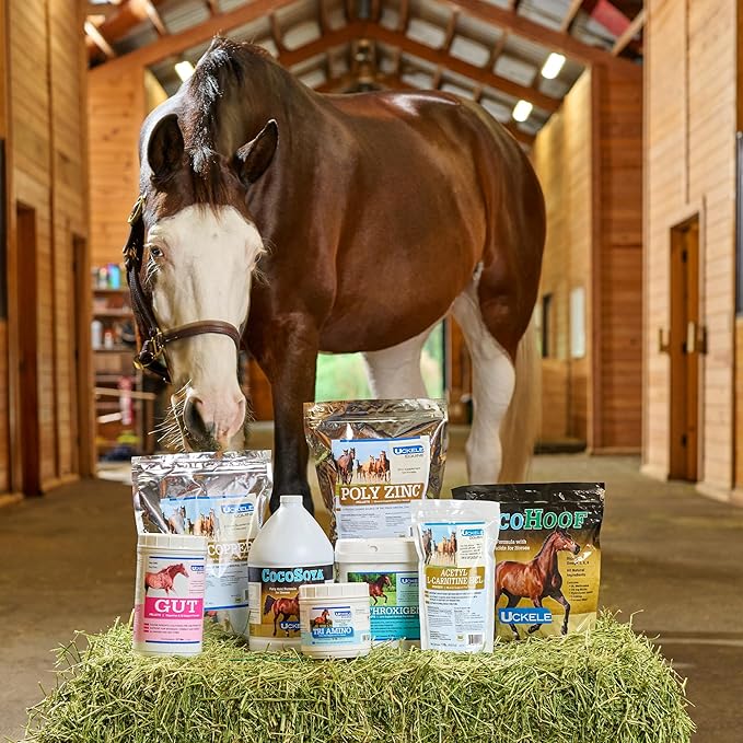SmartEquine EquiBase Grass Pellets | Horse Vitamins & Minerals Supplement, Forage Balancer | Horses in Light to Moderate Work | 30 lb Bag