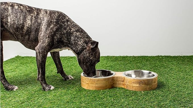 Luxury Elevated Dog Bowl Set - Mango Wood Stand with 2 Stainless Steel Food & Water Bowls - Raised Pet Feeder with Non-Slip Base, Modern Design for All Dog Sizes, Medium 24oz