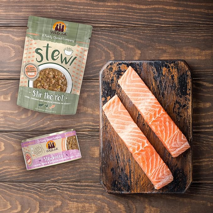 Weruva Classic Cat Stews!, Goody Stew Shoes with Chicken & Salmon in Gravy, 2.8oz Can (Pack of 12)
