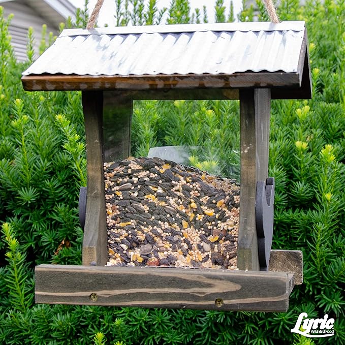 Lyric Supreme Wild Bird Seed - Wild Bird Food Mix with Nuts & Sunflower Seeds for Outside Feeders - Attracts Many Beautiful Songbirds - 20 lb bag